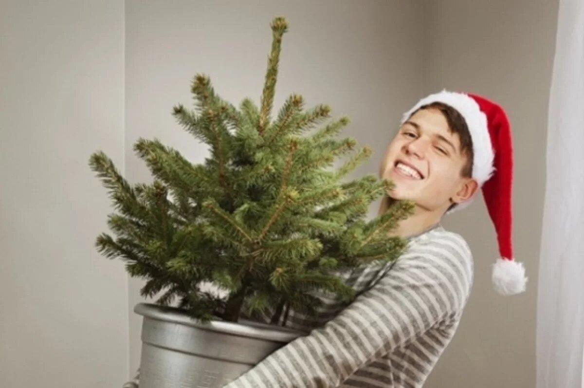    Коммунисты подарили новосибирцам “ЭКО-ЁЛКИ”