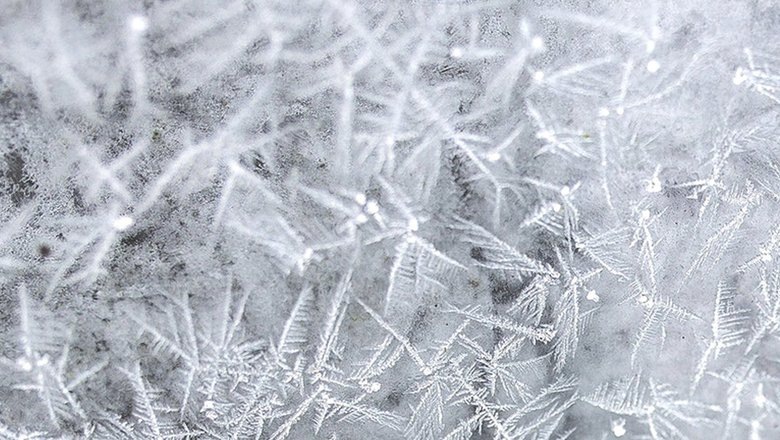 Источник: Freepik