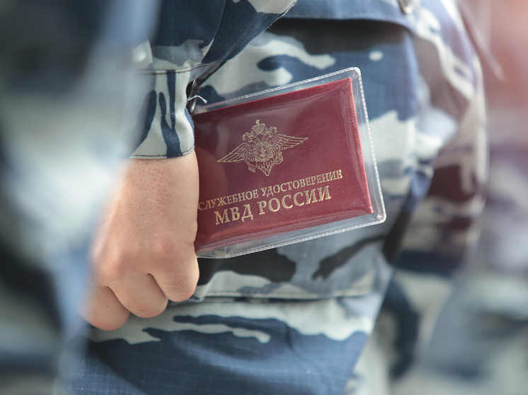 Фото: Наталья Мущинкина