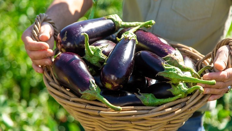 Источник: shutterstock