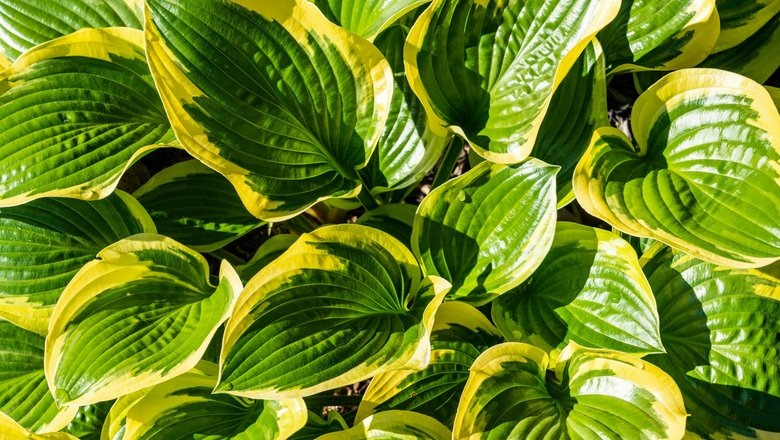 Источник: unsplash