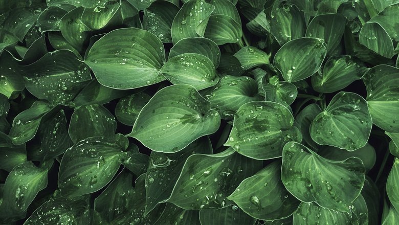 Источник: unsplash