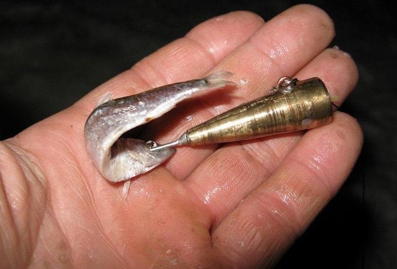 Фото: podlednik.ru