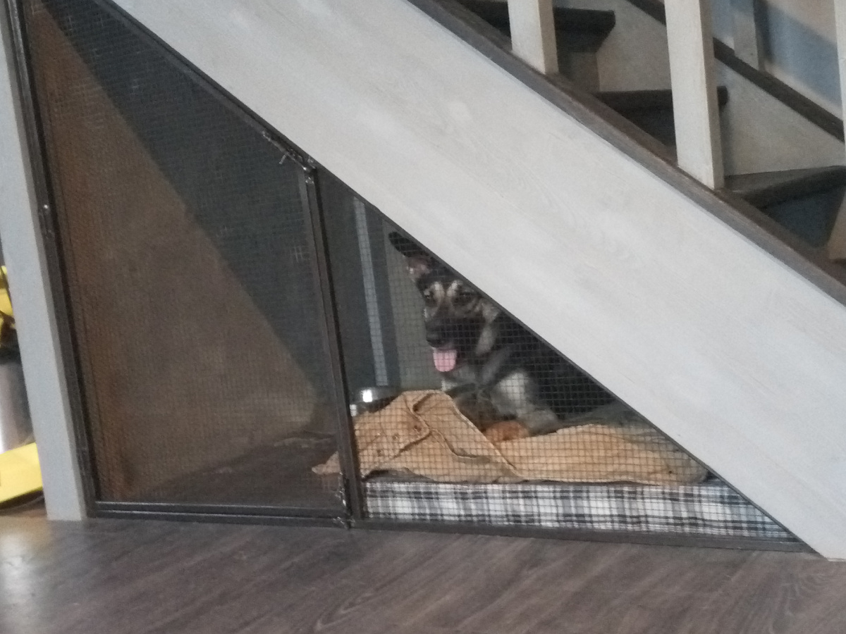 Вольер под лестницей: собака еще не умела вести себя в доме