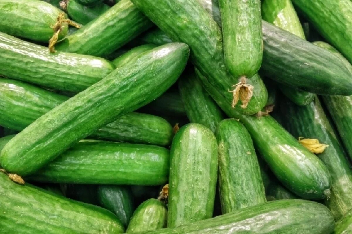    В Воронеже взлетели цены на свежие огурцы