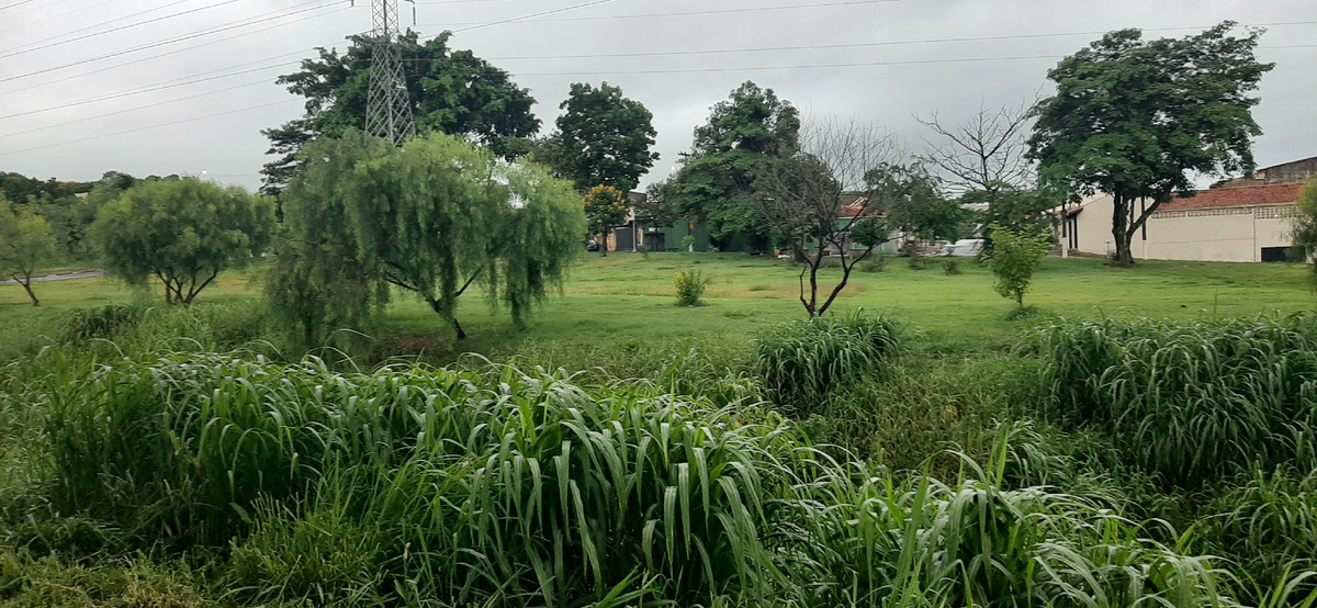 Кампинас. Наши окраины.