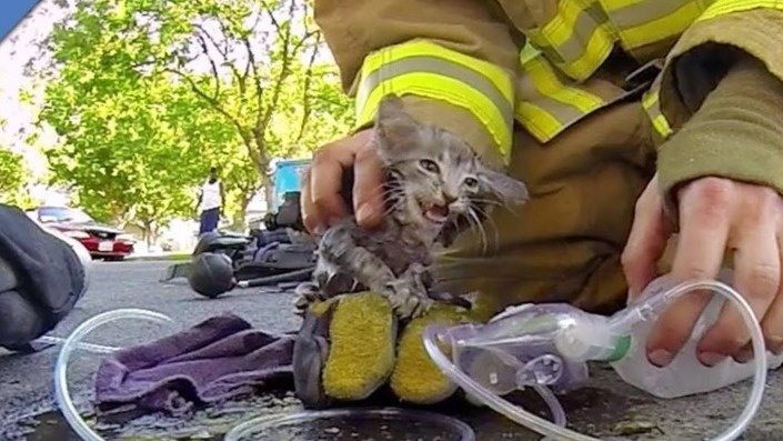 Операция по спасению началась!