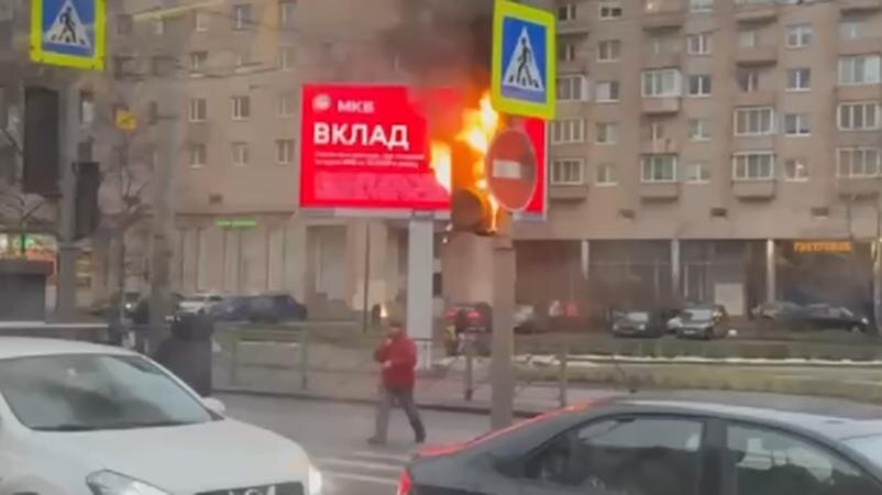    Фото: t.me/petrograd_my