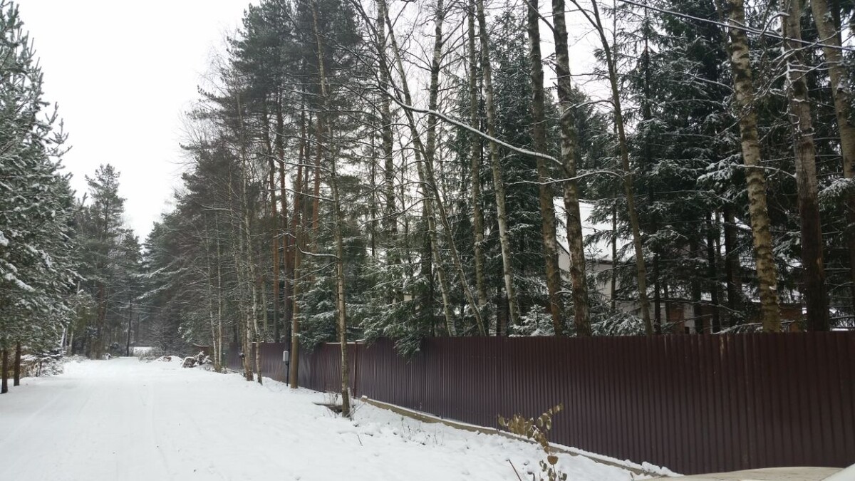 Зимняя природа на дмитровском шоссе