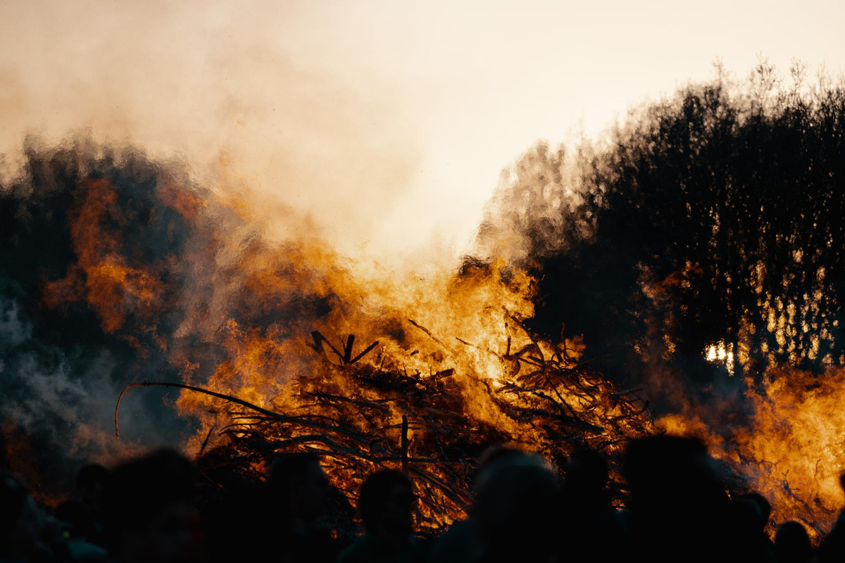 Фото: freepik.com  📷
