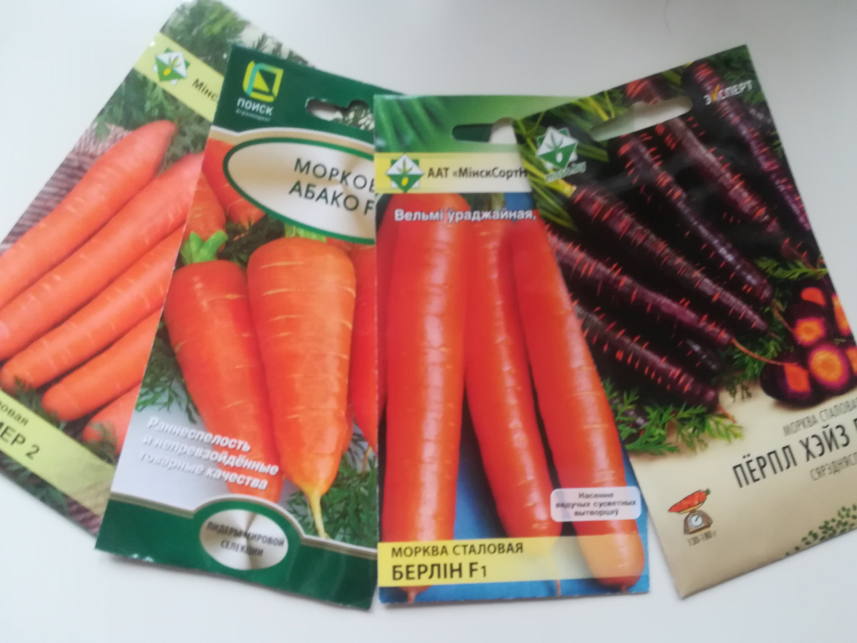 Сорта и гибриды, которые отобрала для посева на будущий год 