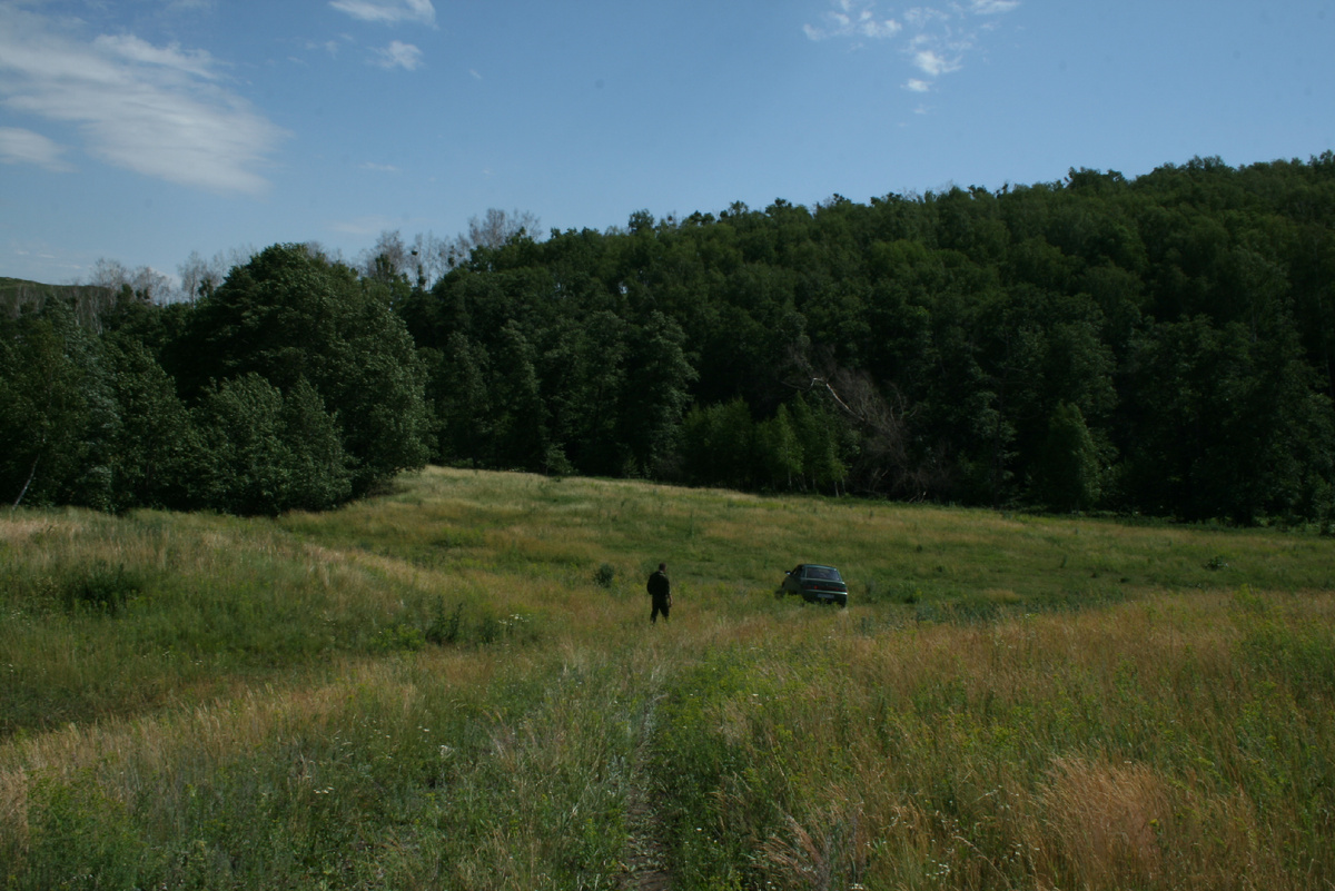 Оттенки зеленого в урочище Боевое на Губерле возле Шубино