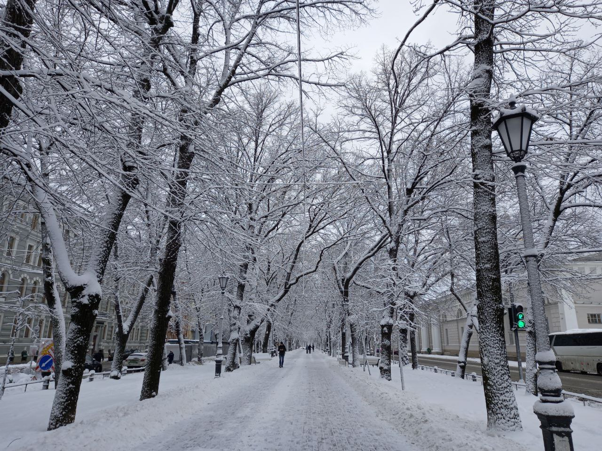Заглянула зима и быстро исчезла, а ведь для неё зелёный свет горел!