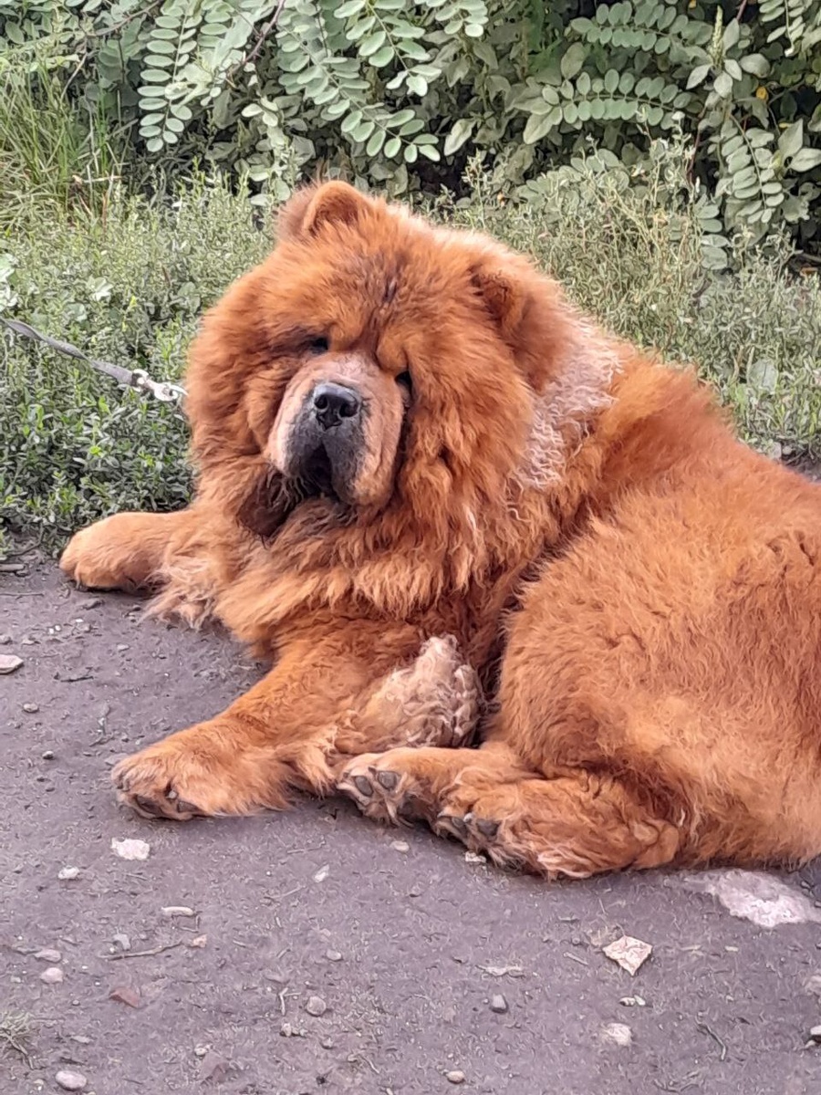 Это мой Баня