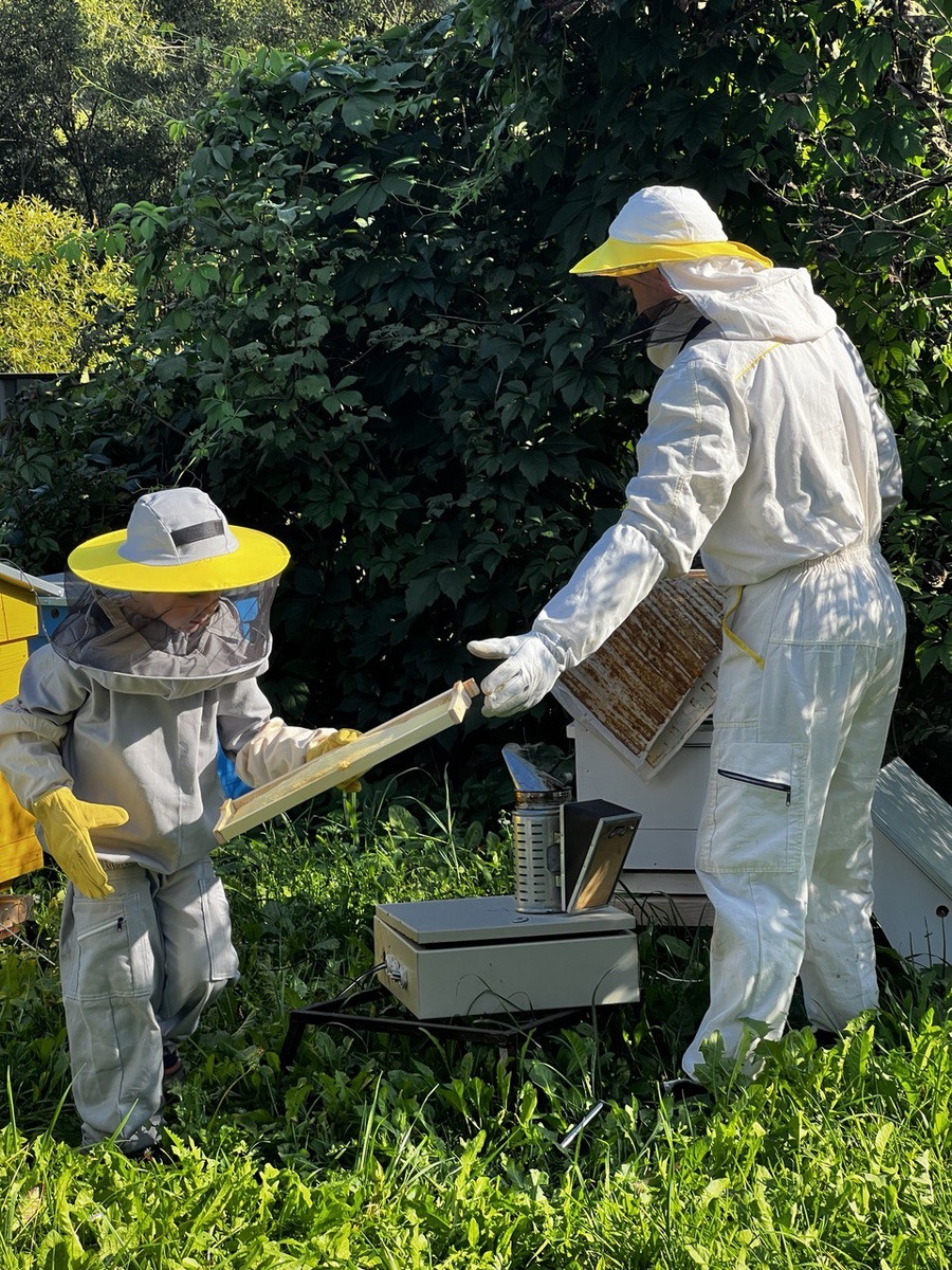 Работаем на пасеке с младшим сыном 