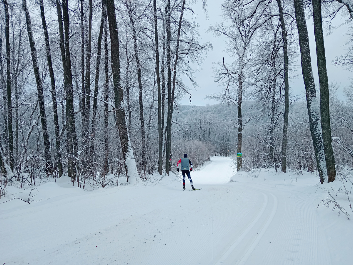 Спортивная лыжная трасса в районе бывшей базы "Динамо" в Самаре. Подготоваливают и под коньковый, и под классический ход. 