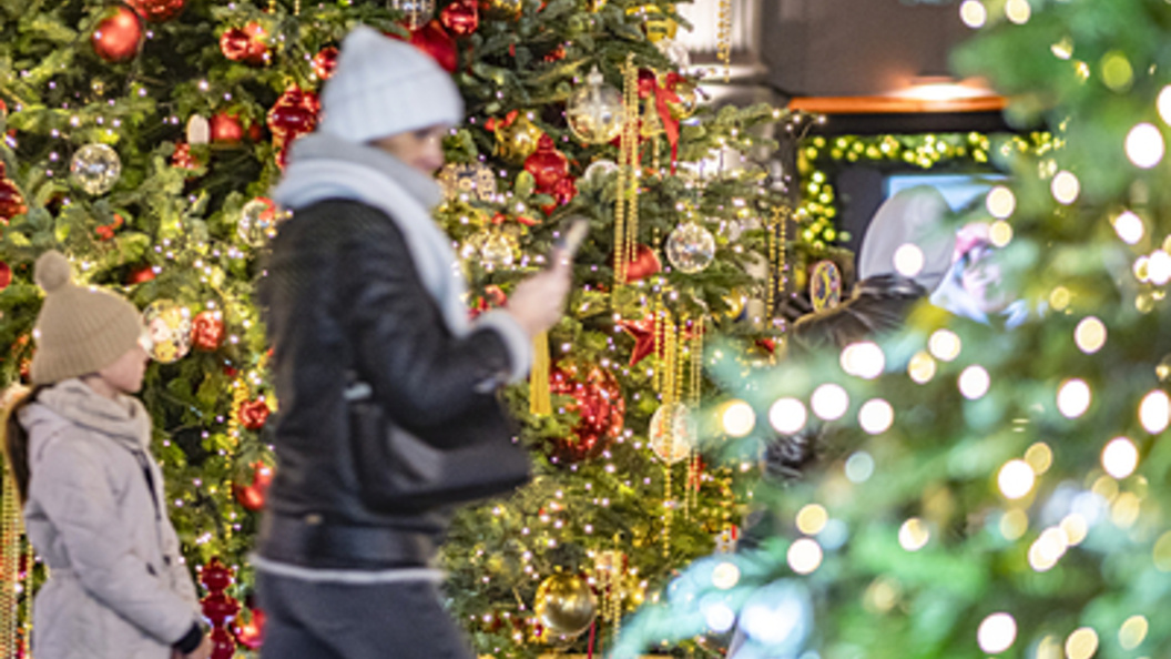    Фото: Konstantin Kokoshkin/Globallookpress.