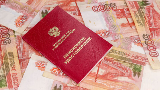    Пенсии в феврале дополнительно увеличат в России по фактической инфляции Роман Захаров