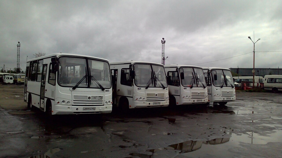    Маршрутки. Фото: Илья Прохоров