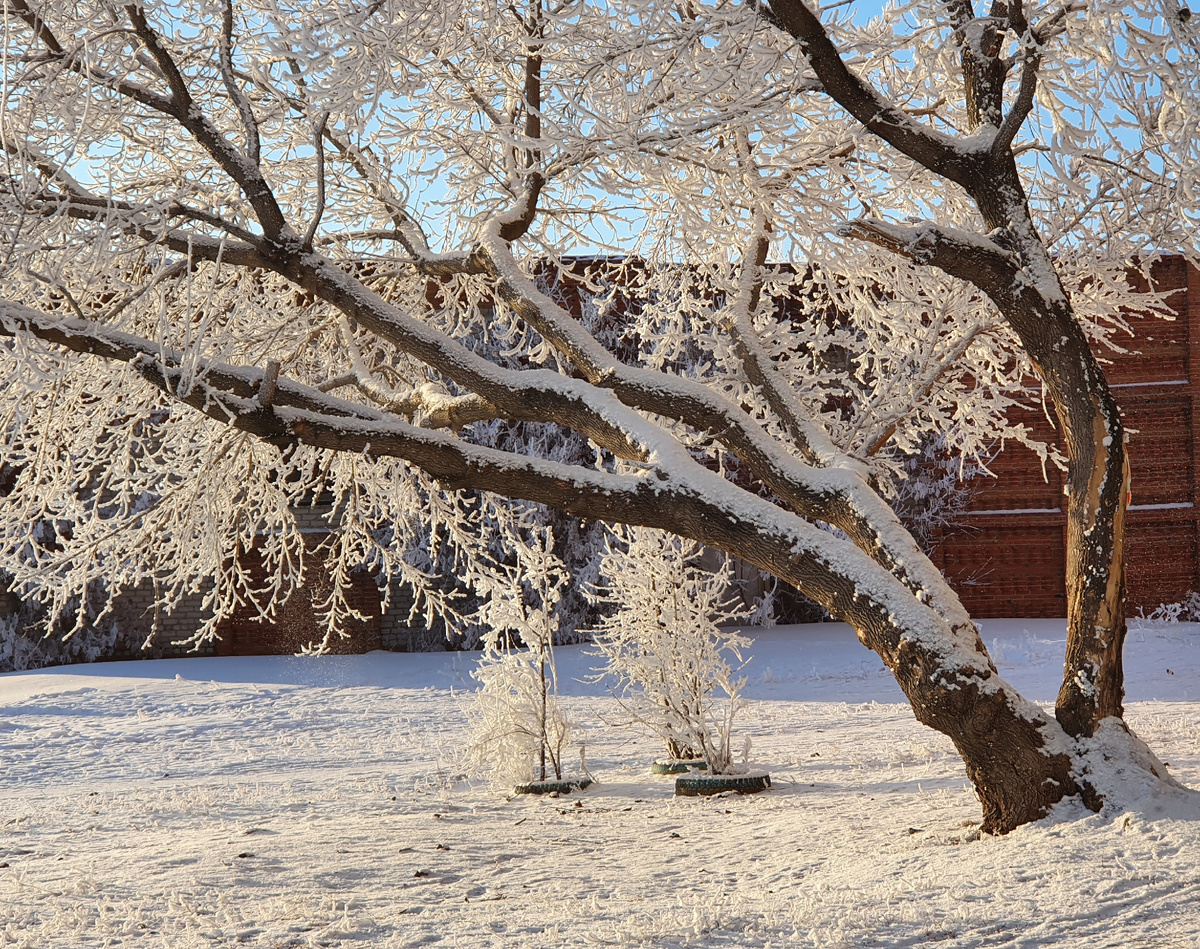 фото личное