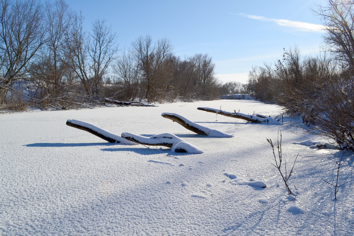 Фото автора. Первый снег. 2014г.