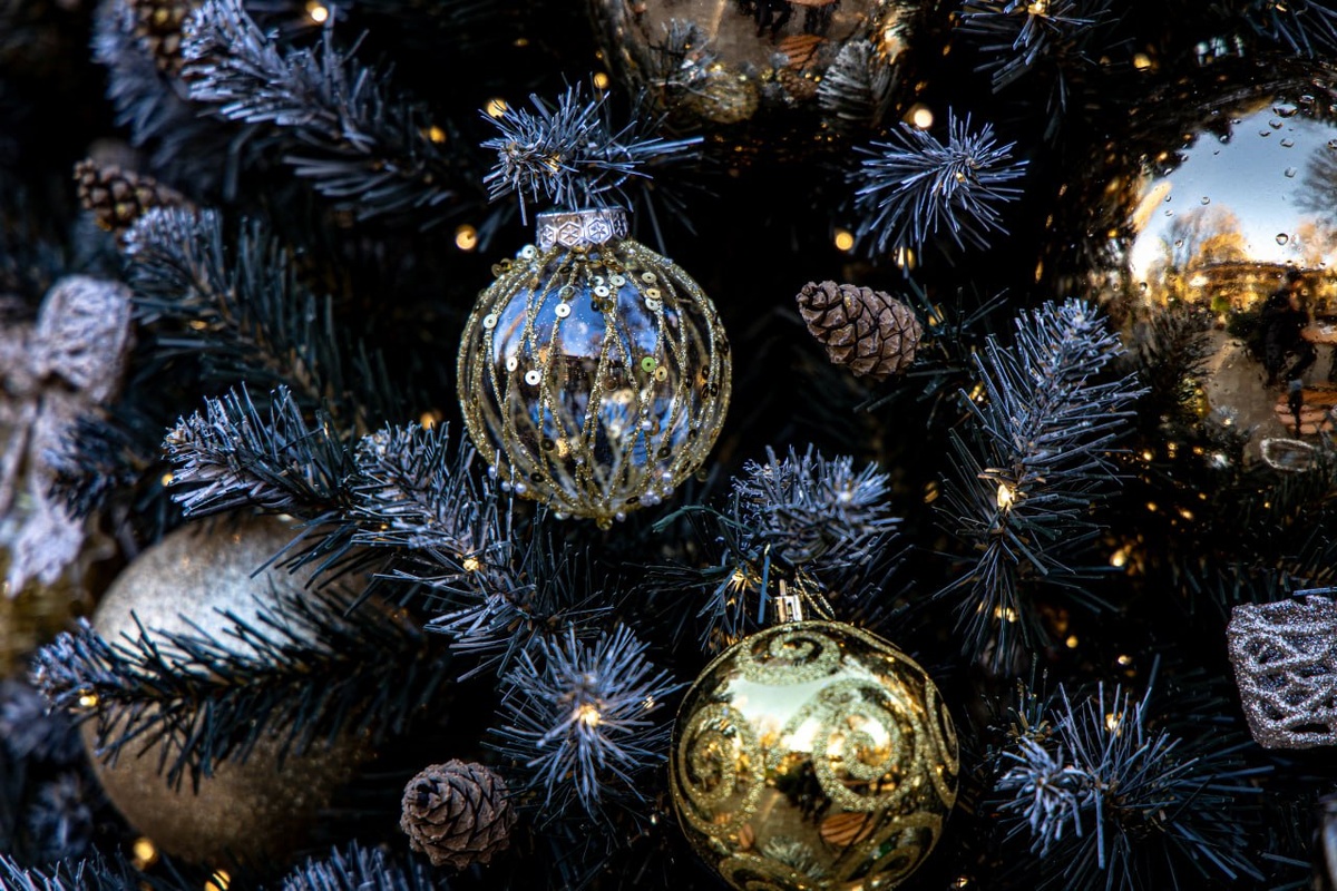 Фото: Михаил Гладчук