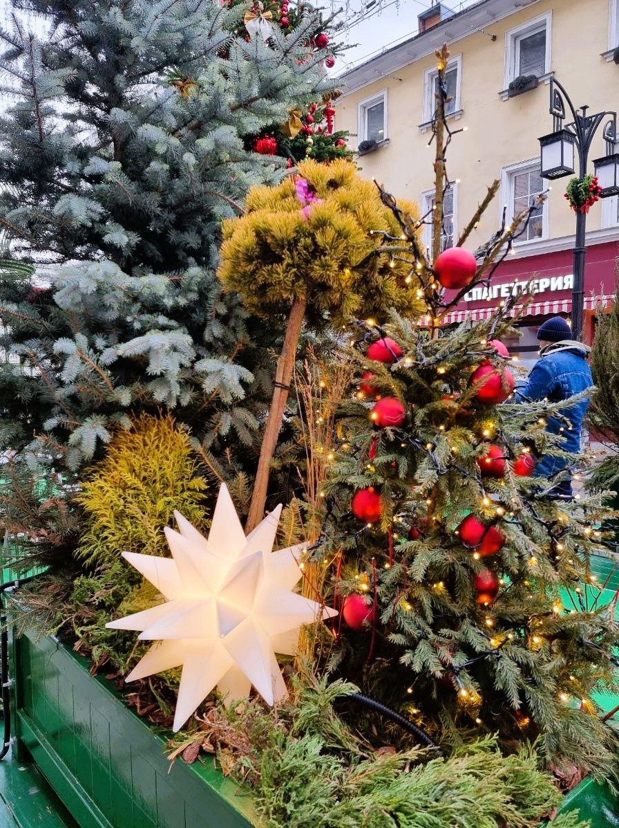 Флористы преображают Камергерский переулок к празднику. Я застала их за работой, когда они уже доделывали последние штрихи.