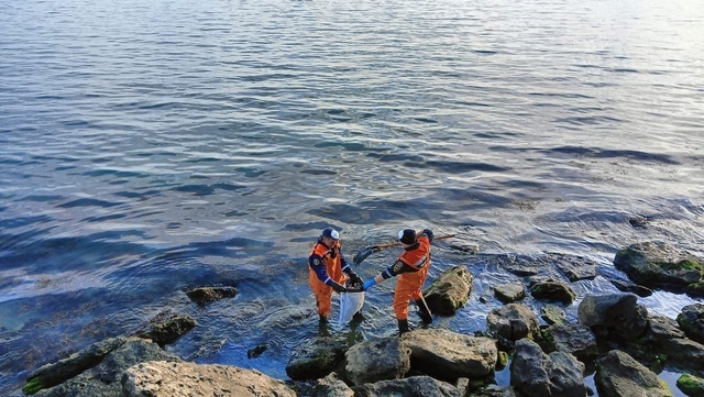 Фото: ГУ РК "Крым-Спас"