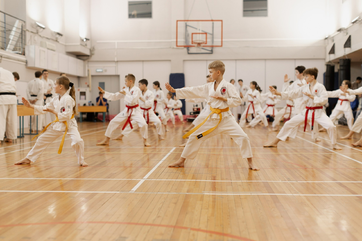 каратэ ясенево