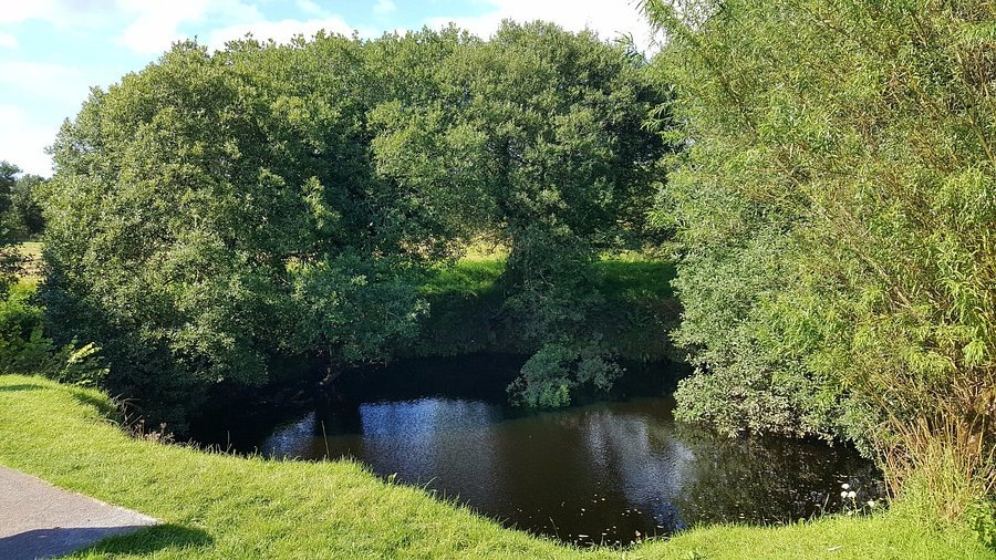 Шаннон пот - исток реки Шаннон