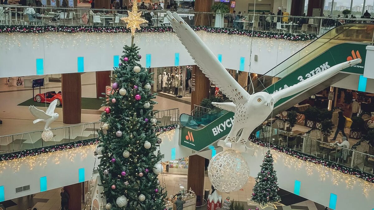     Источник: novostivolgograda.ru