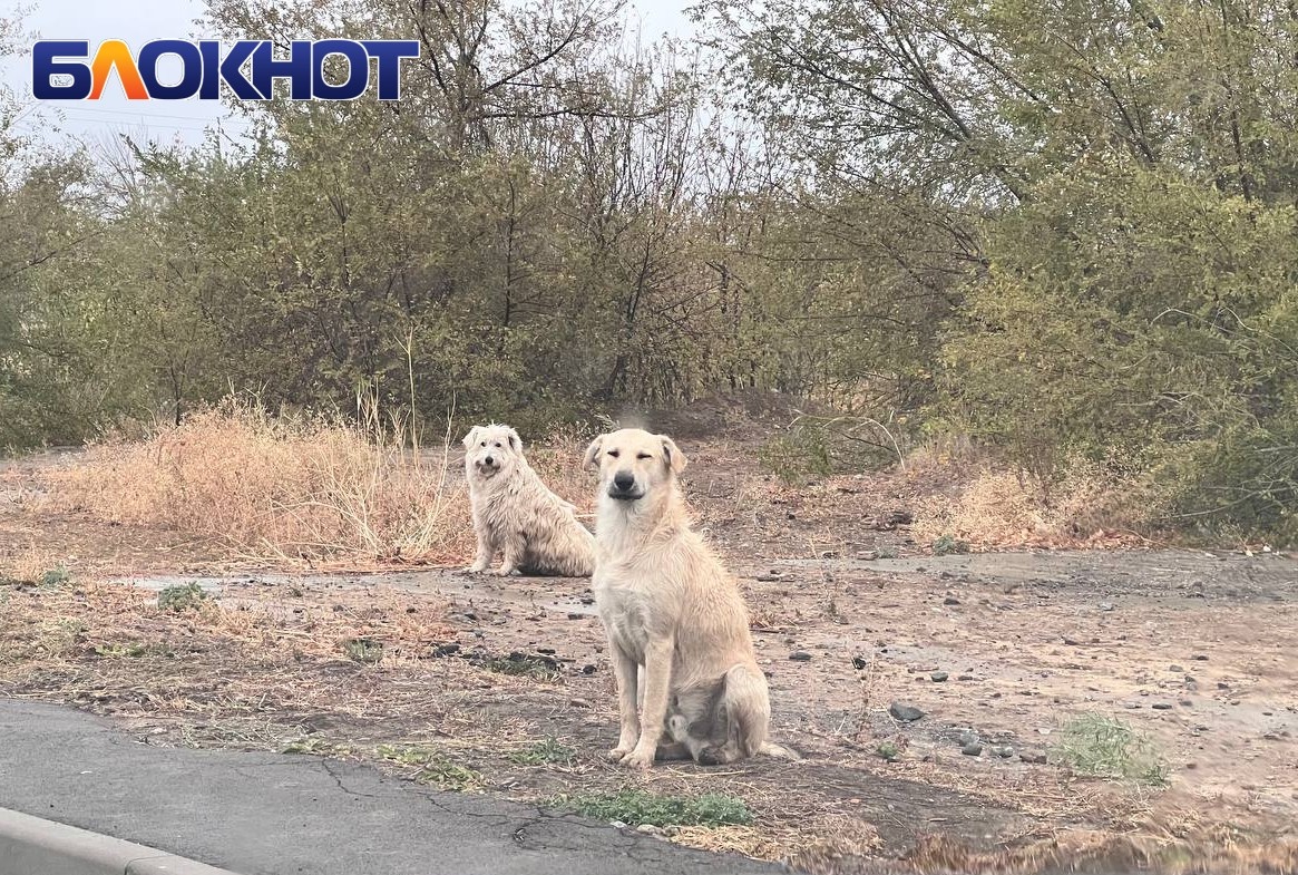 Фото для иллюстрации