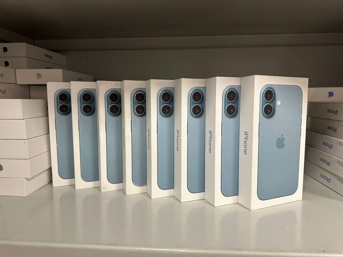    Фото: sztu.customs.gov.ru