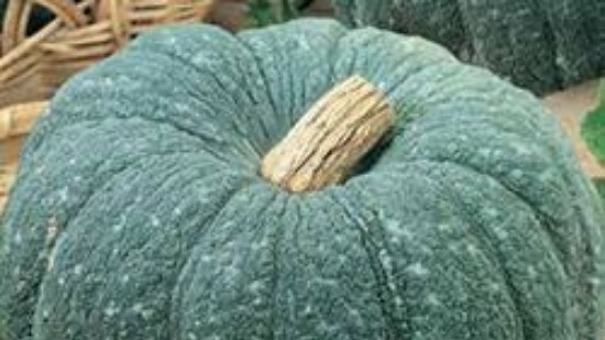 Мраморная. Фото с pinterest.com