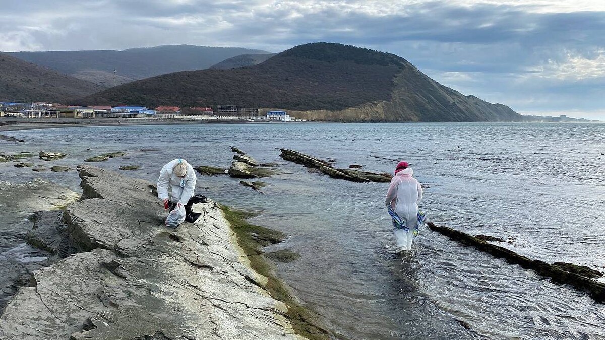    Фото: телеканал «Краснодар»