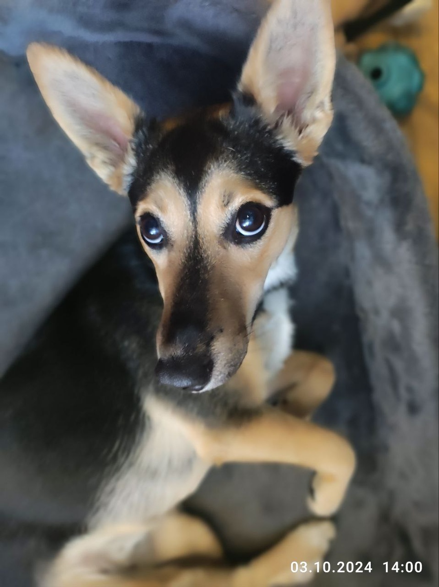 Ой. Вот про себя я больше всех читать люблю!