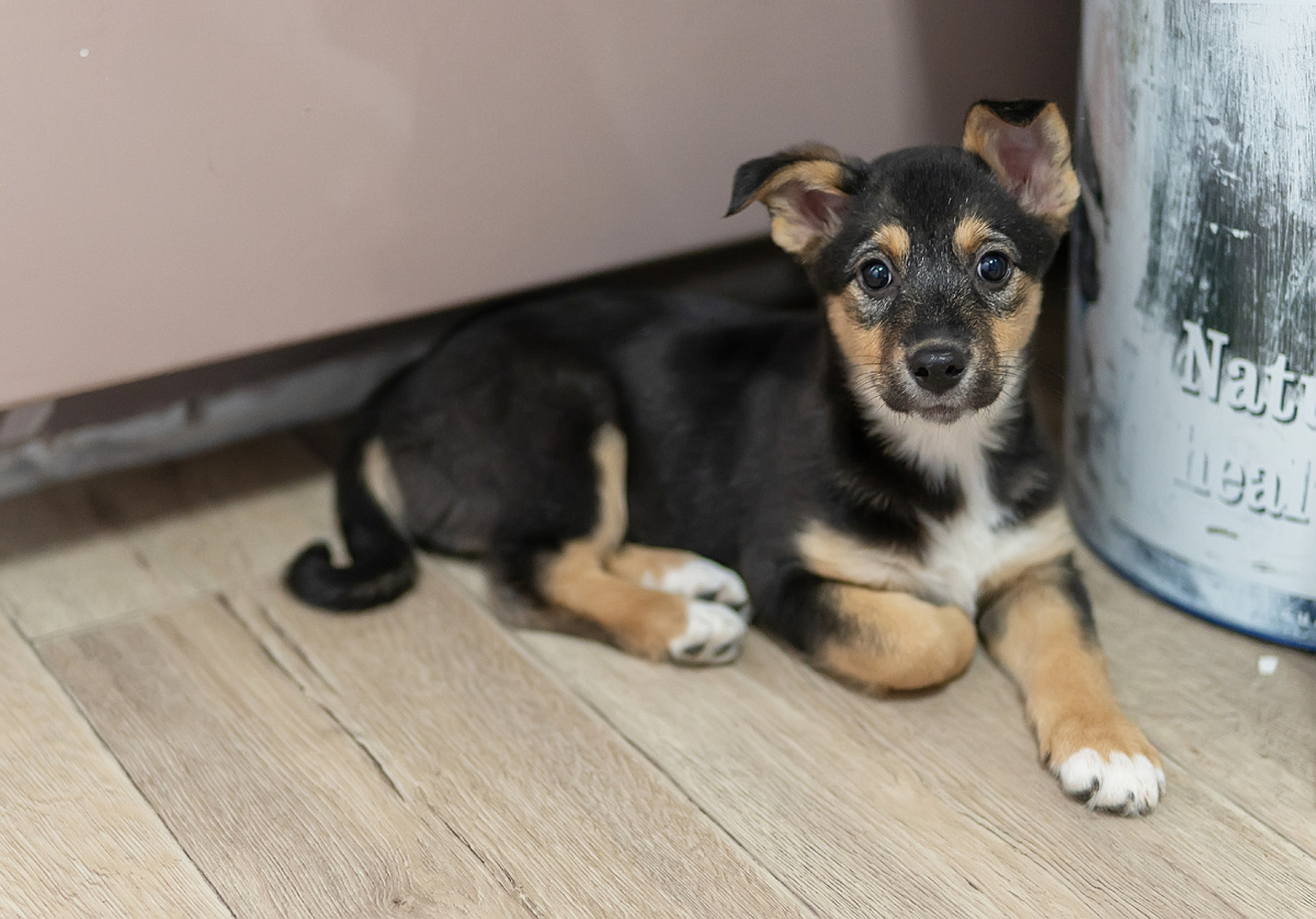 Маленькая Я