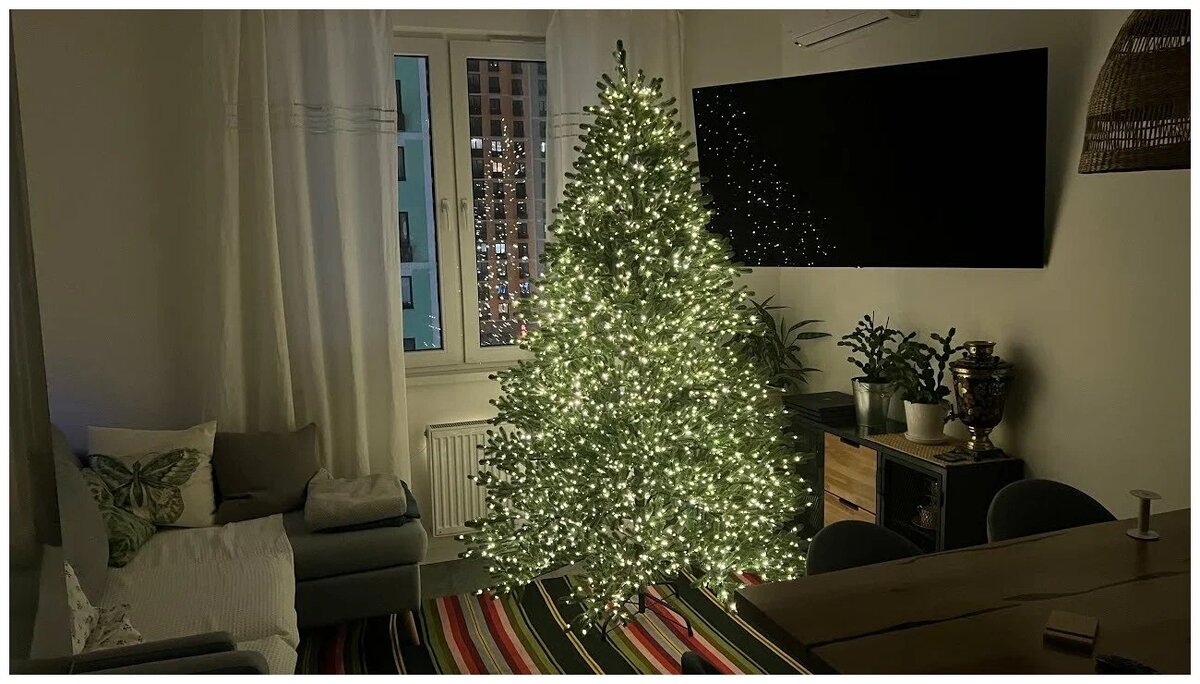 Фото из сети 