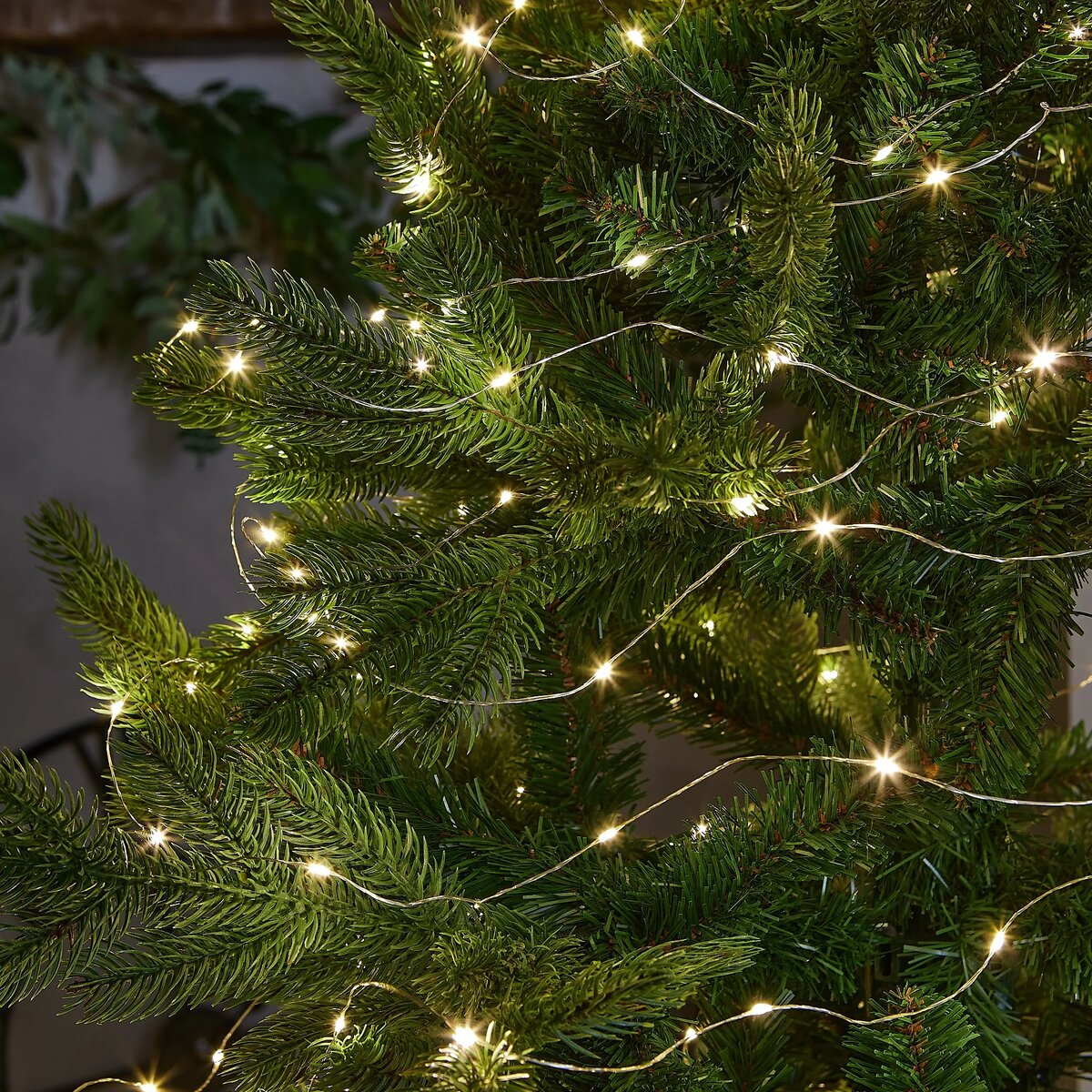 Фото из сети 