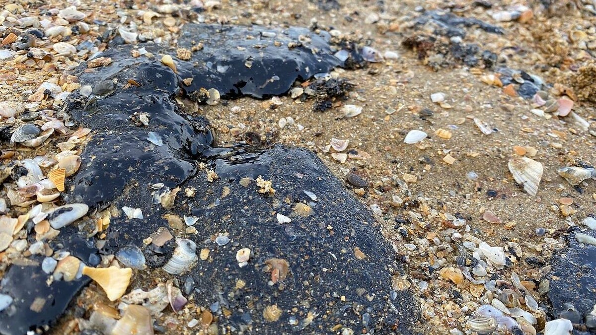    Фото: телеканал «Краснодар»