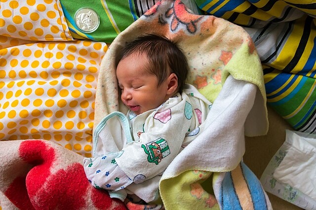    SONY DSC Василий Соколов