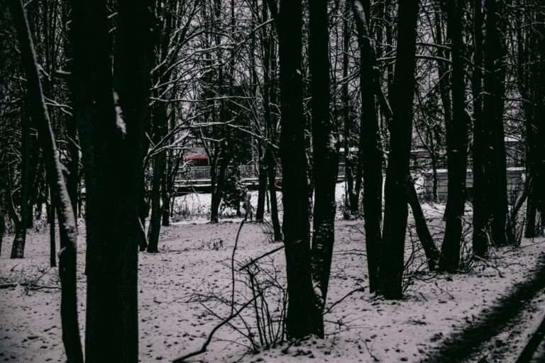    Фото: Общественная Служба Новостей Анастасия Давыдова