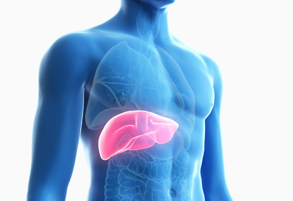 Как улучшить состояние печени