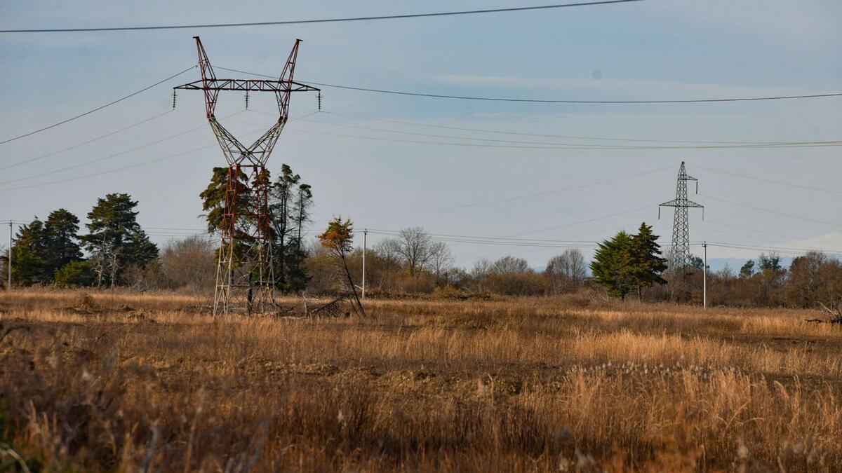 Источник изображения: sputnik-abkhazia.ru