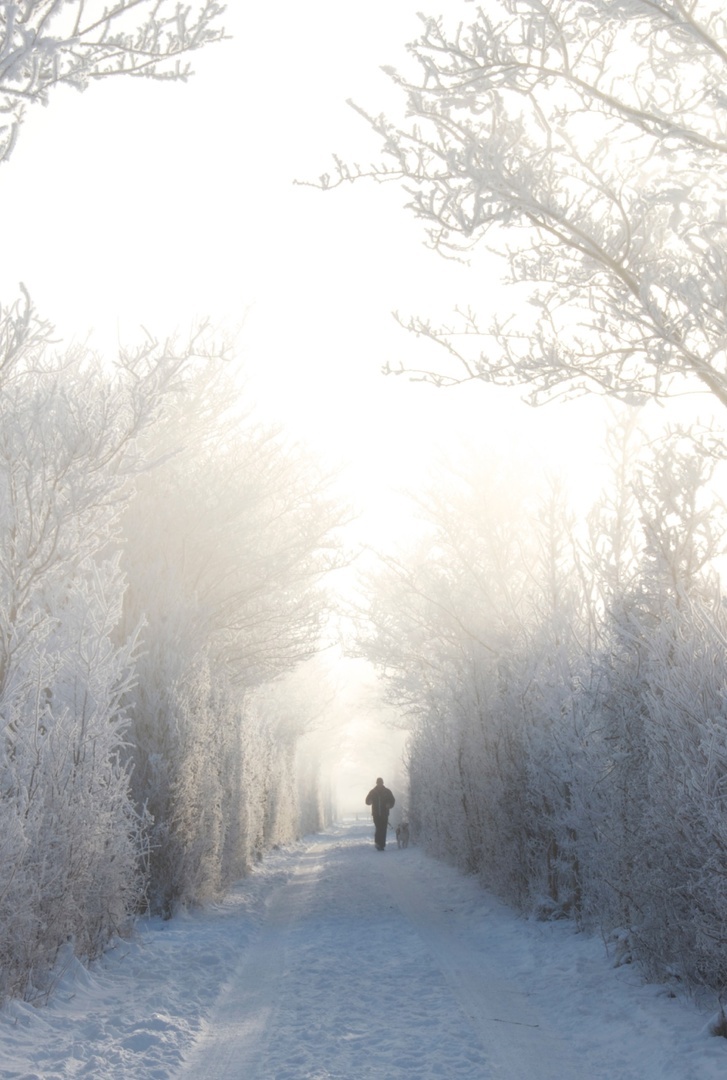 Изображение из открытых источников