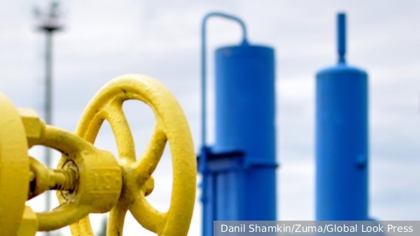     Фото: Danil Shamkin/Zuma/Global Look Press   
 Текст: Антон Антонов