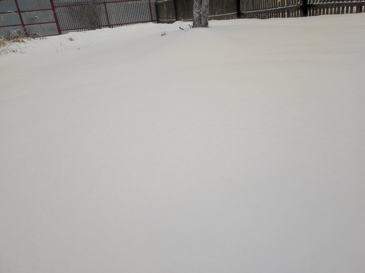 Фото автора, снежный наст, декабрь 2024 года