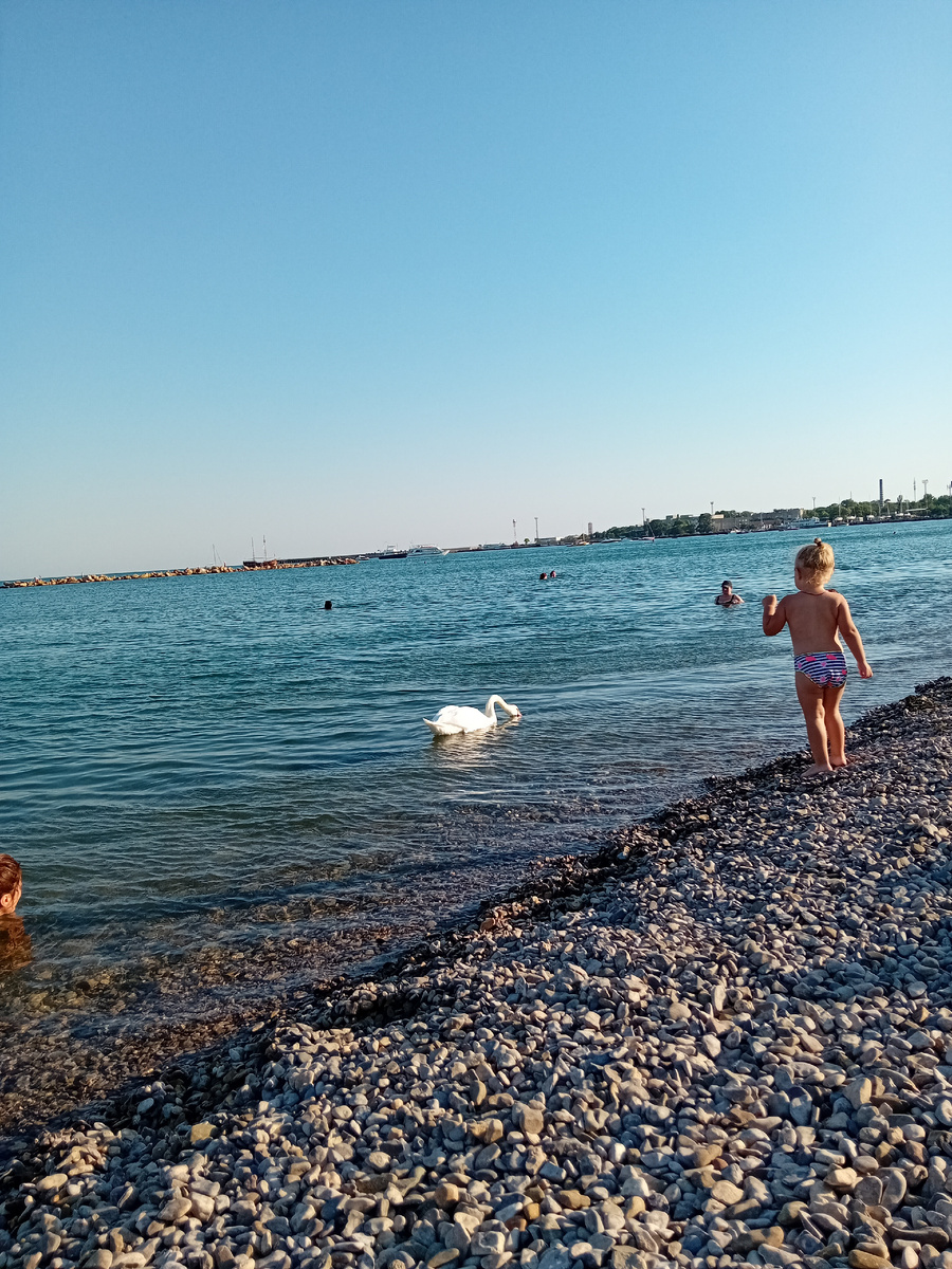 Авторские фото.