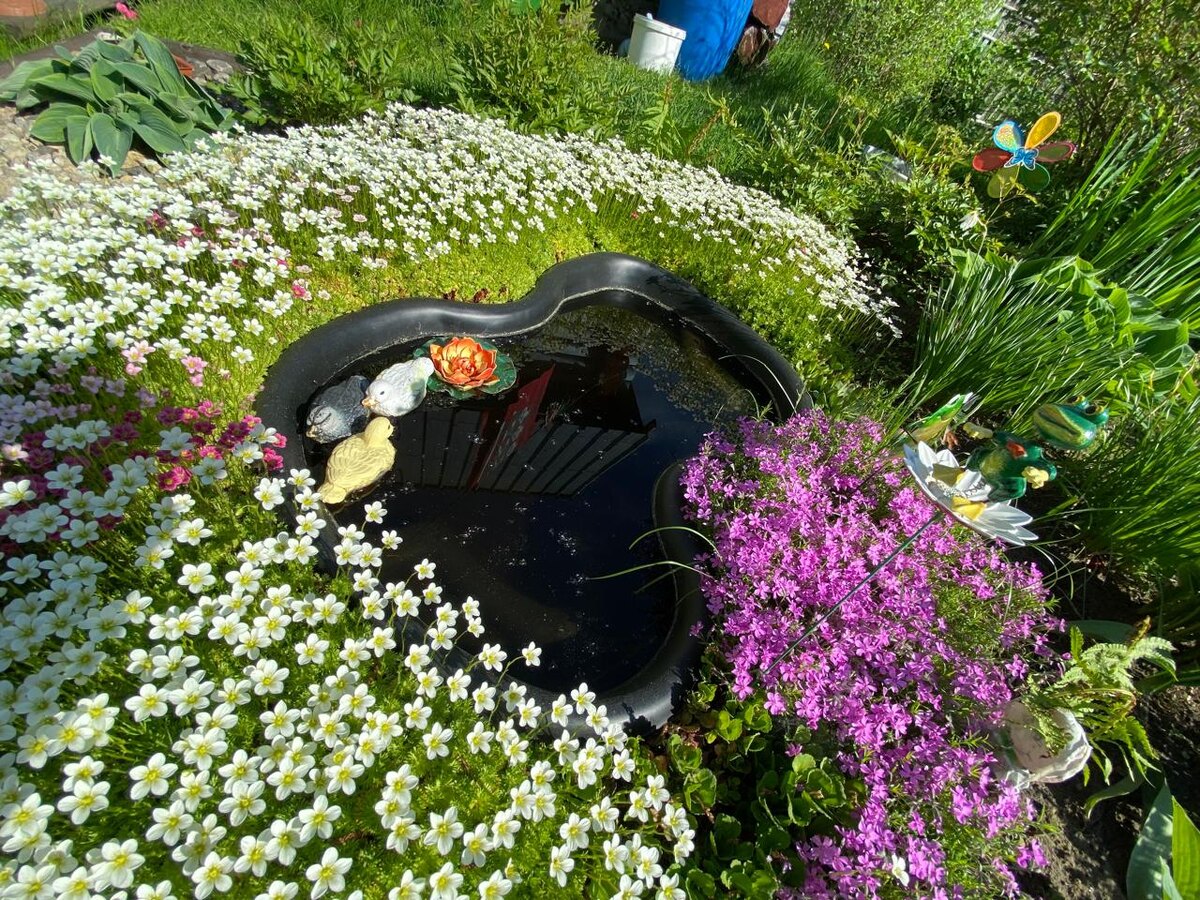 Прудик на даче в Карелии