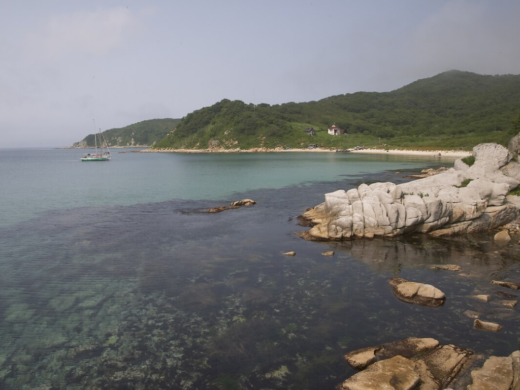 Фото: Russian.dissident